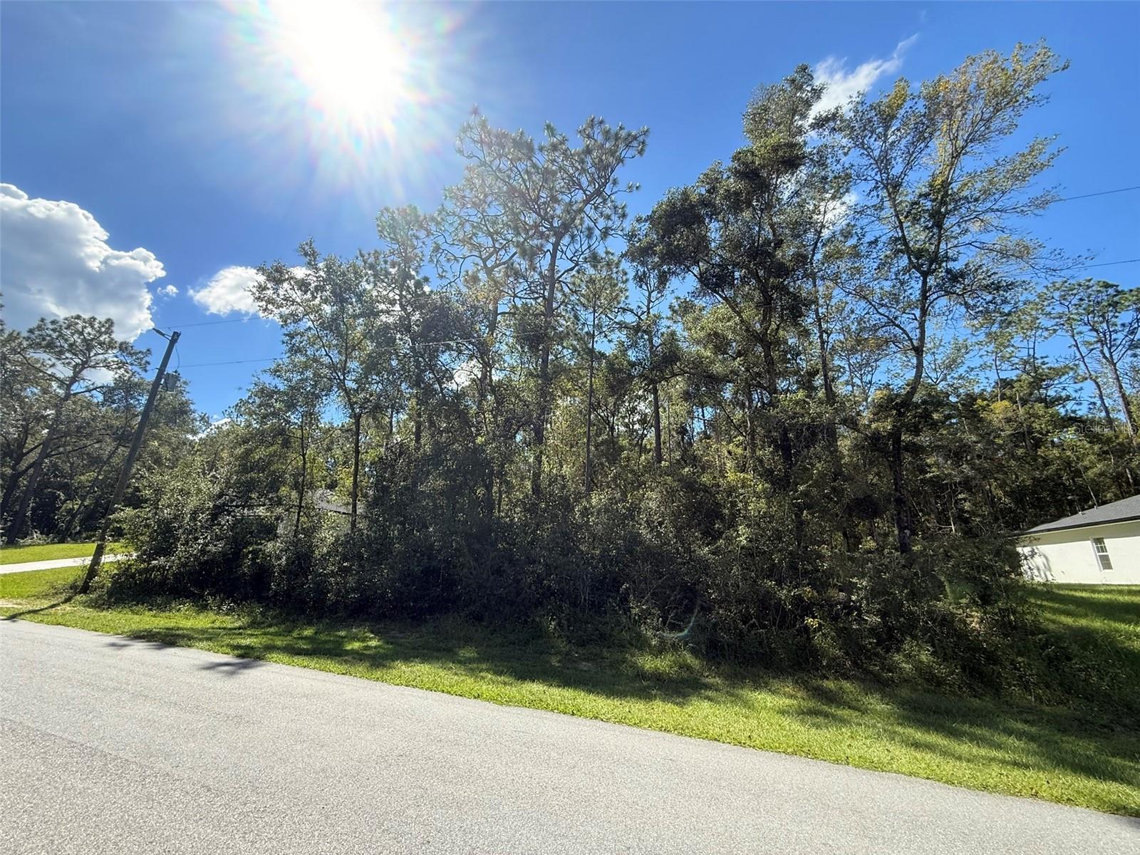 2656 W FAIRWAY LOOP, CITRUS SPRINGS, FL